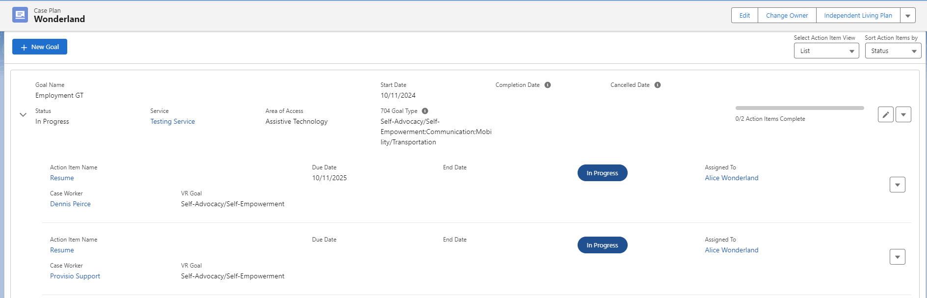 Updated Case Plan View - WILS