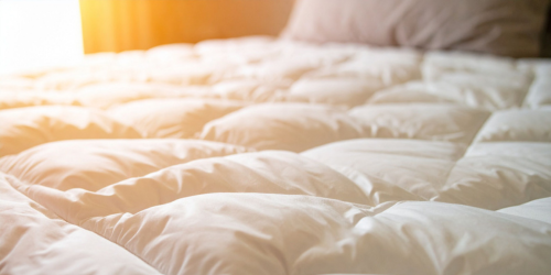 photo of comforter on bed. Sunlight shining in through window.