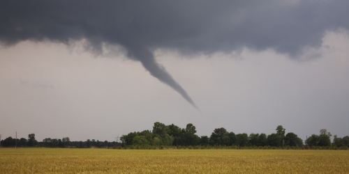 Photo of tornado over a field and tree line